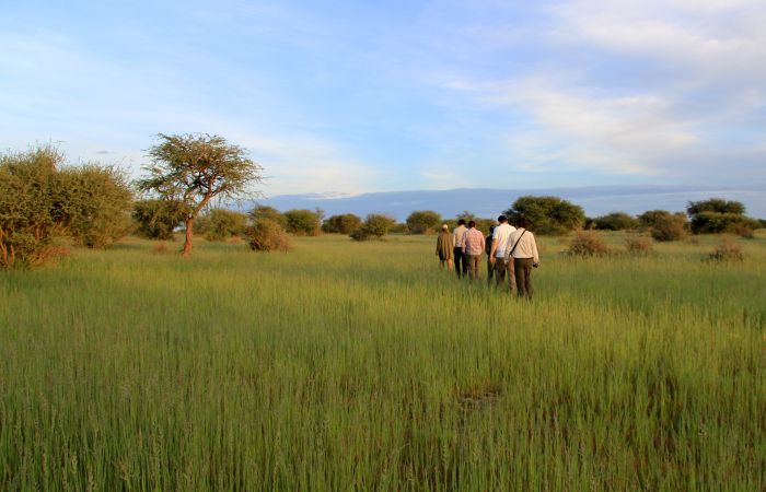 Wildnis Reitsafari am Rande der Kalahari