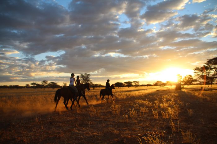 Wildnis Reitsafari am Rande der Kalahari