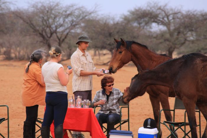 Wildnis Reitsafari am Rande der Kalahari