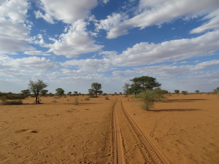 Wildnis Reitsafari am Rande der Kalahari