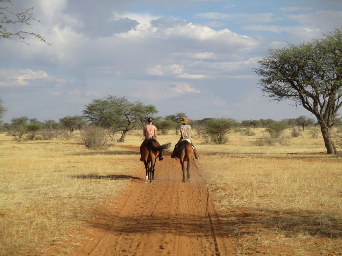 Wildnis Reitsafari am Rande der Kalahari