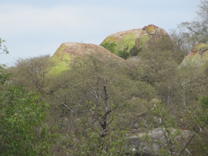Die Felsen-Lodge nahe des Krüger Nationalparks