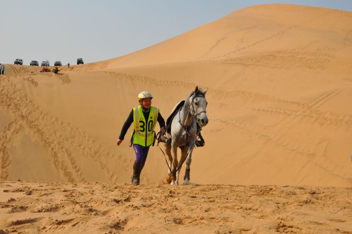 Araber Pferde Safaris in Namibia