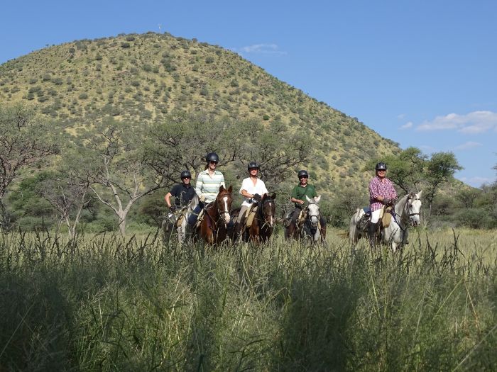 Araber Pferde Safaris in Namibia