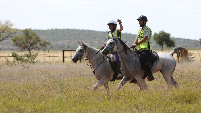 Araber Pferde Safaris in Namibia