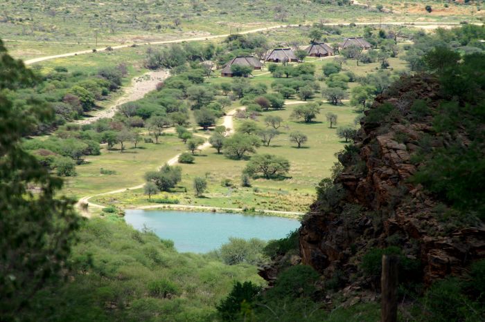 Araber Pferde Safaris in Namibia