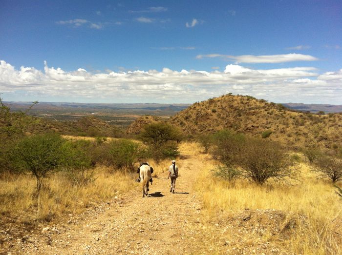 Araber Pferde Safaris in Namibia