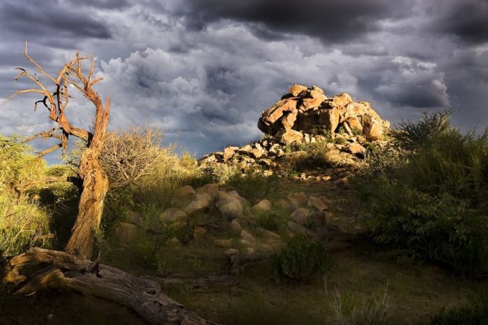 Araber Pferde Safaris in Namibia