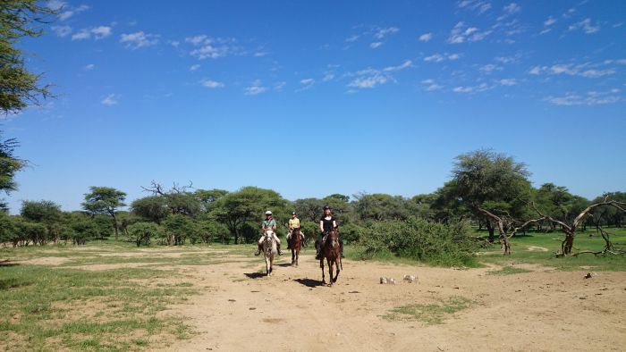 Araber Pferde Safaris in Namibia