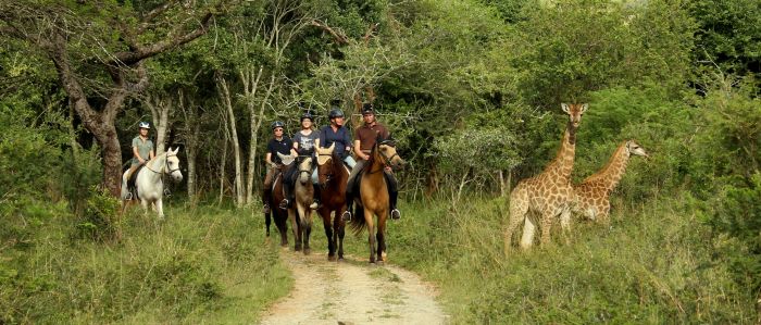 Big Five für Geniesser