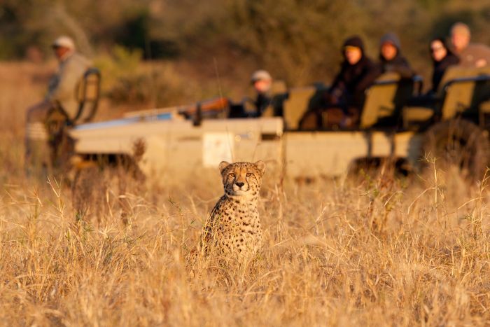 Big Five für Geniesser