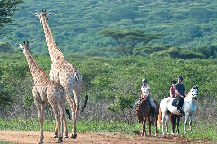 Big Five für Geniesser