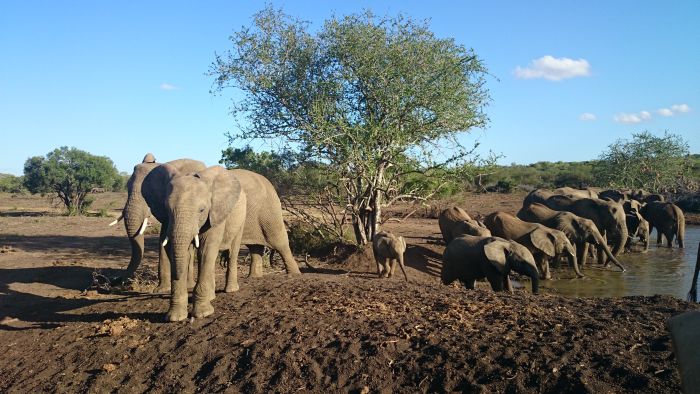 Big Five für Geniesser