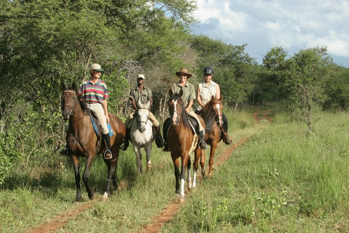 Big Five für Geniesser