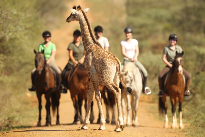 Big Five für Geniesser