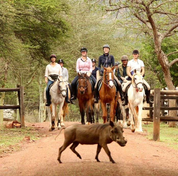 Big Five für Geniesser