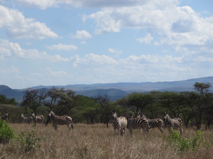 Big Five für Geniesser