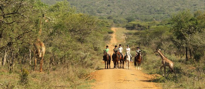Pferdesafari Südafrika für Geniesser