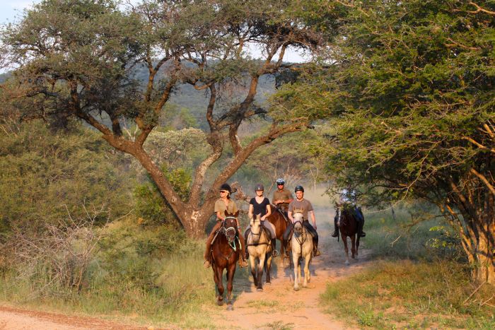 Waterberg Reitsafaris - Erlebnisurlaub!