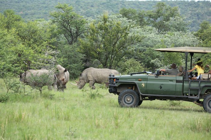 Waterberg Reitsafaris - Erlebnisurlaub!