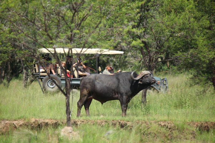 Waterberg Reitsafaris - Erlebnisurlaub!