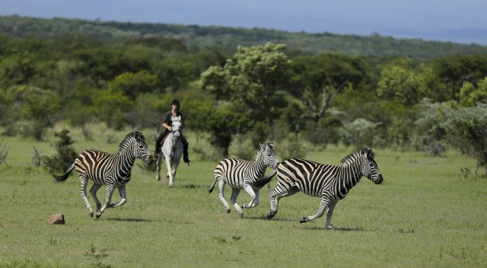 Waterberg Reitsafaris - Erlebnisurlaub!