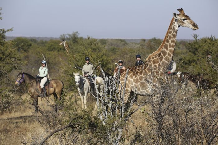 Waterberg Reitsafaris - Erlebnisurlaub!