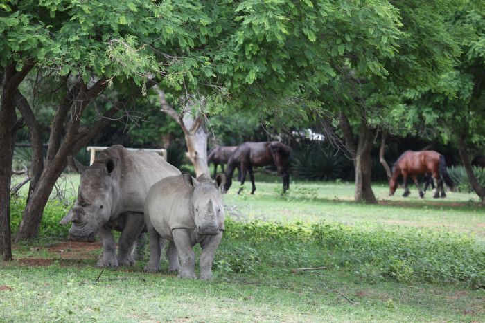 Waterberg Reitsafaris - Erlebnisurlaub!