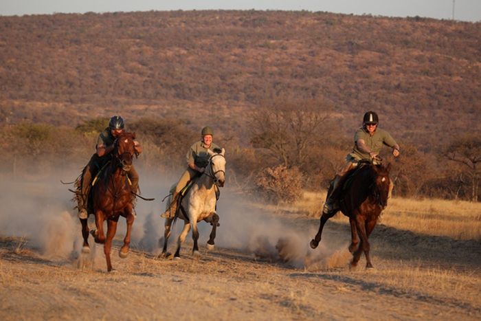 Waterberg Reitsafaris - Erlebnisurlaub!