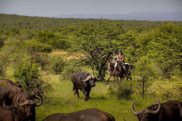 Waterberg Reitsafaris - Erlebnisurlaub!