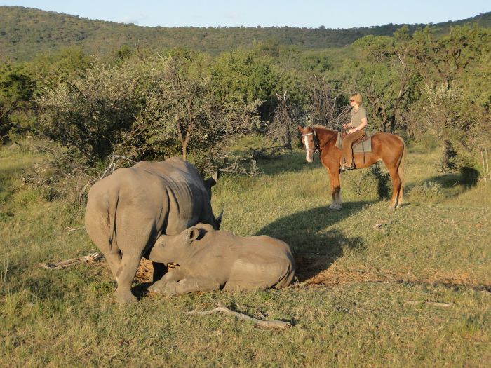 Waterberg Reitsafaris - Erlebnisurlaub!