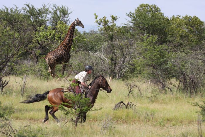 Waterberg Reitsafaris - Erlebnisurlaub!