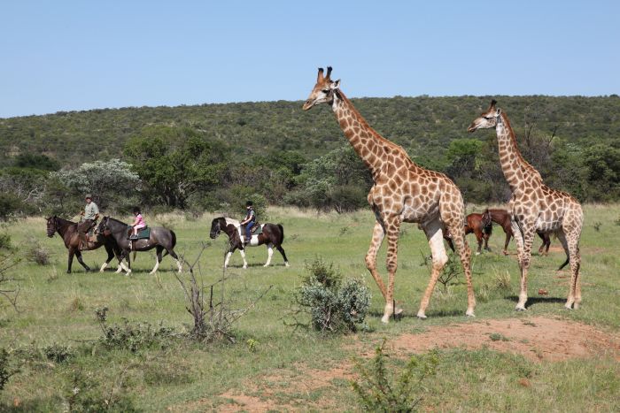 Waterberg Reitsafaris - Erlebnisurlaub!