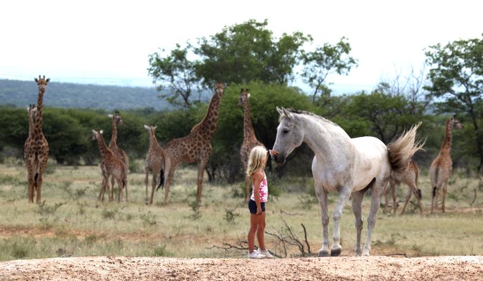 Waterberg Reitsafaris - Erlebnisurlaub!