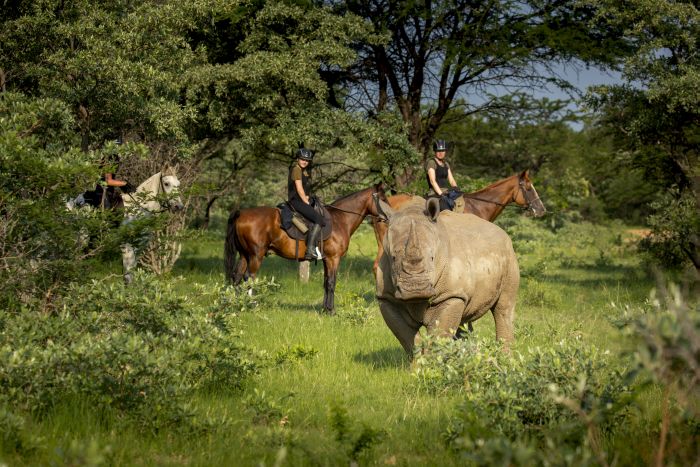 Waterberg Reitsafaris - Erlebnisurlaub!