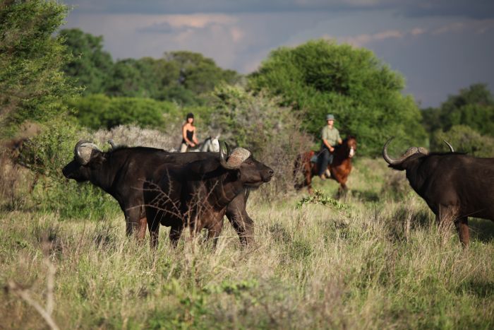 Waterberg Reitsafaris - Erlebnisurlaub!