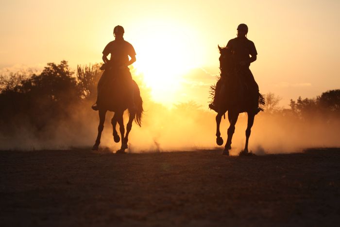 Waterberg Big Five Safari