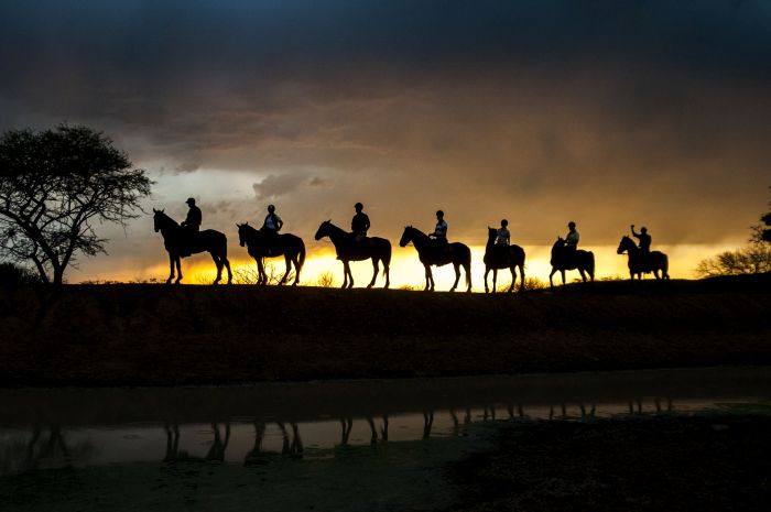 Waterberg Big Five Safari