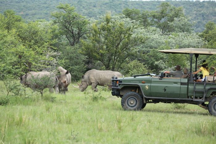 Waterberg Big Five Safari
