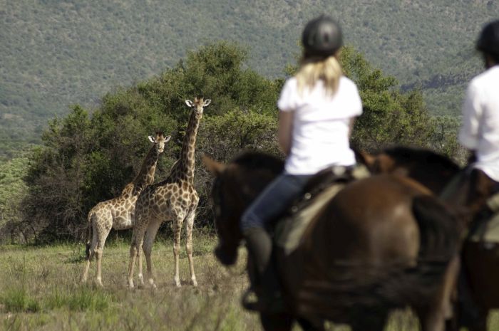 Lodge zu Lodge Safari