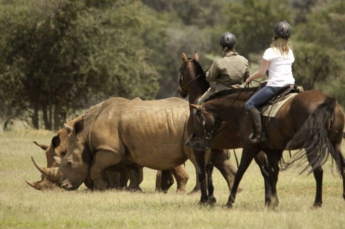 Lodge zu Lodge Safari