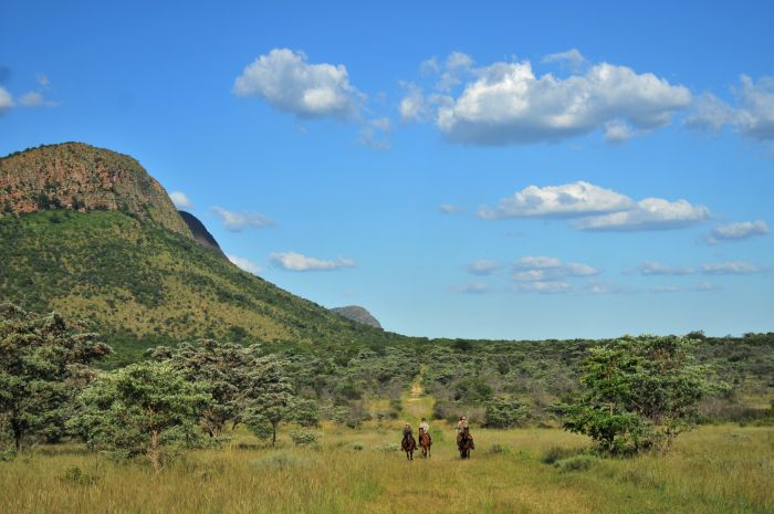 Lodge zu Lodge Safari