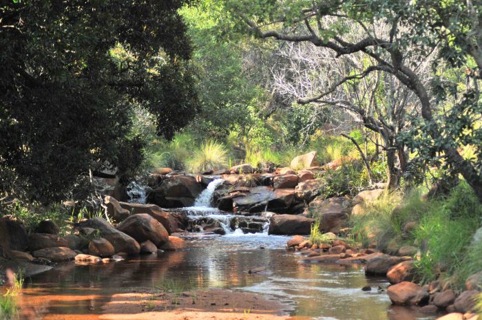 Lodge zu Lodge Safari