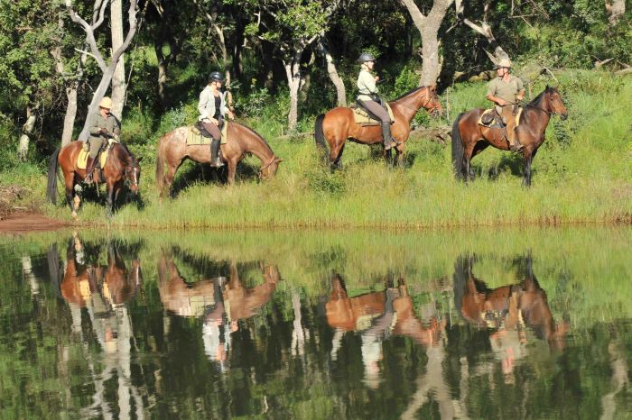 Lodge zu Lodge Safari