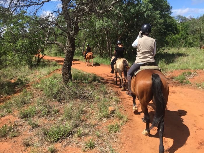 Lodge zu Lodge Safari