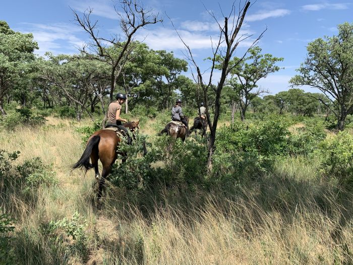 Lodge zu Lodge Safari