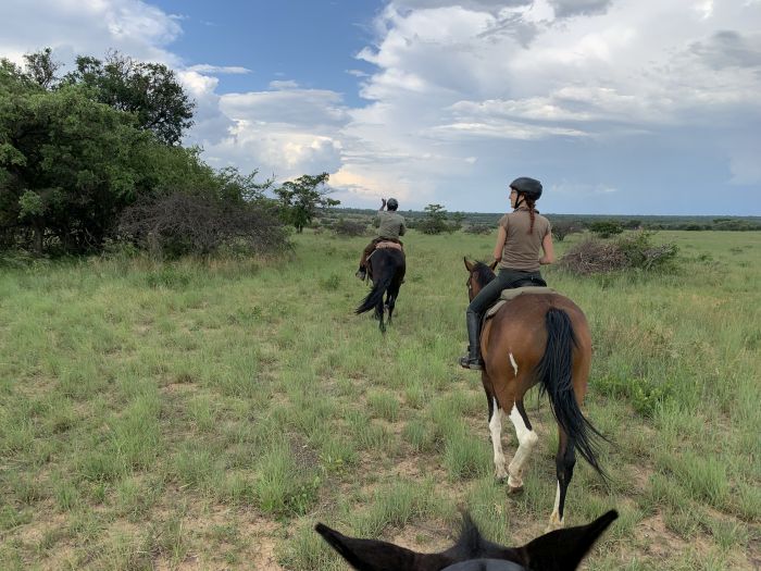 Lodge zu Lodge Safari