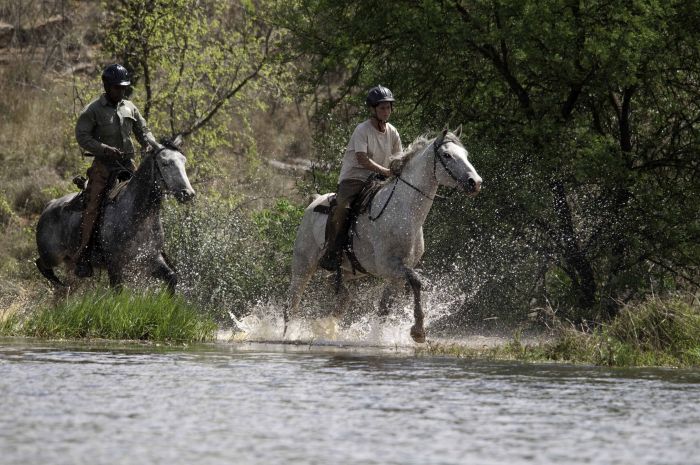 Lodge zu Lodge Safari