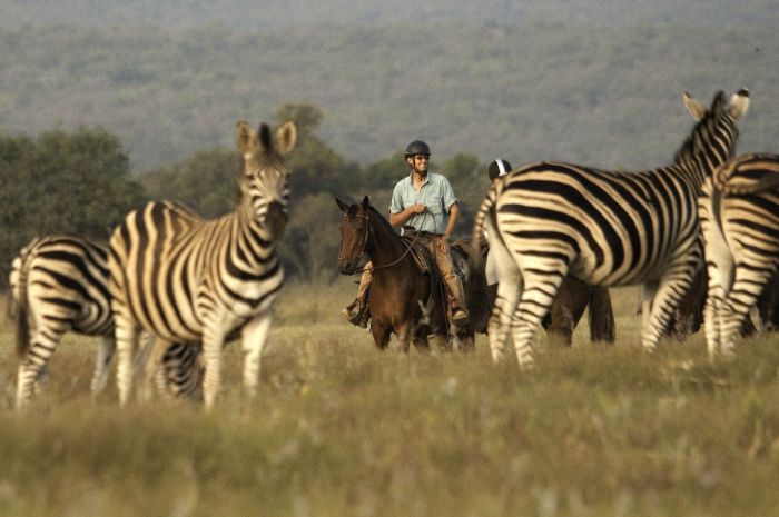 Lodge zu Lodge Safari