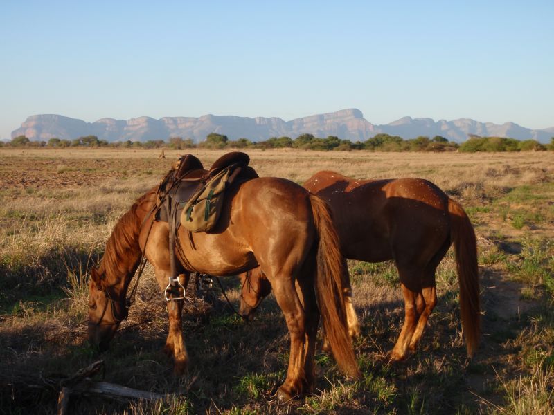 Limpopo Abenteuer Trail